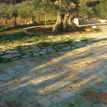 アルベロベッロ Trullo Montetrecarliniヴィラ 部屋 写真